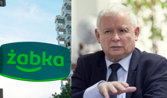 Żabka zostanie odkupiona? Zapowiedź prezesa PiS