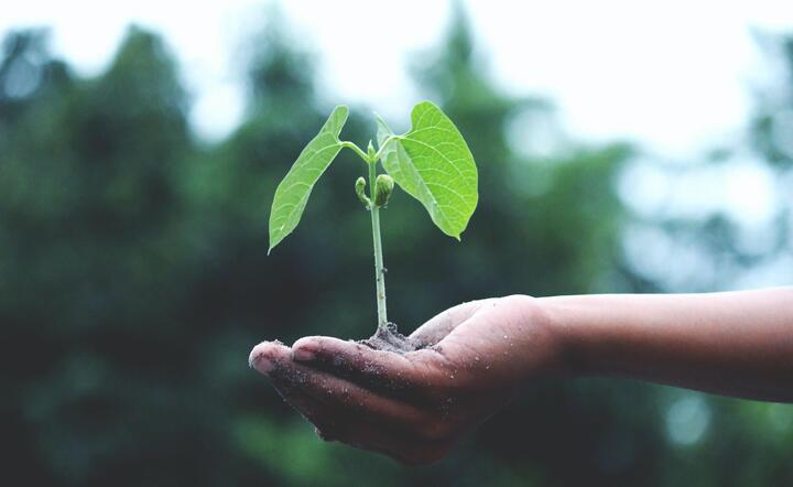 Co z klimatem? / autor:  Zdjęcie autorstwa Akil Mazumder z Pexels