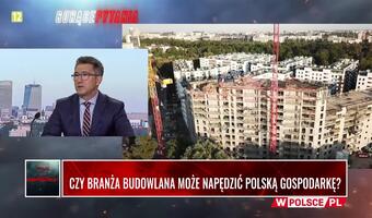 Prezes Velux: Za wszystko państwo nie da rady zapłacić