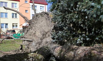 Energetycy usuwają skutki huraganowego wiatru