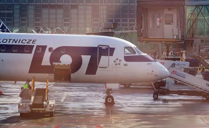PLL LOT moze przejąć Condor Airlines / autor: Pixabay