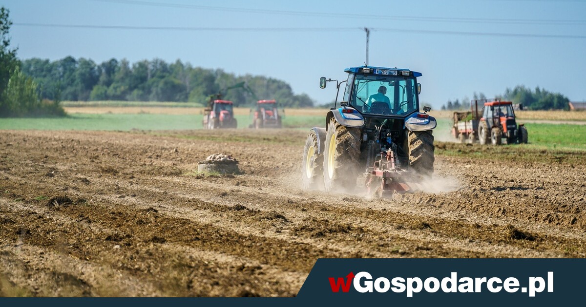 Polska wieś nad przepaścią: idzie fala bankructw!