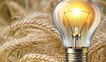Magazyny zboża pełne. A może użyć go do produkcji energii?