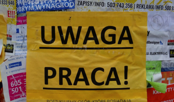 Holandia. 2/3 agencji pracy łamie prawo. Poszkodowani min. Polacy