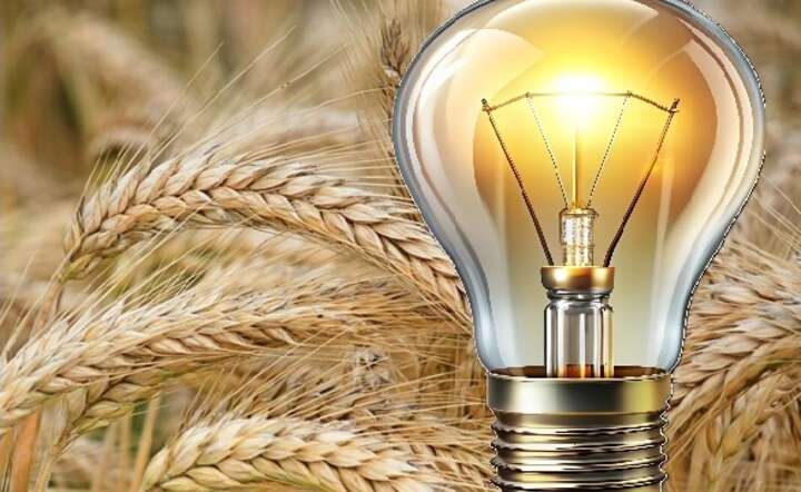 Magazyny zboża pełne. A może użyć go do produkcji energii?