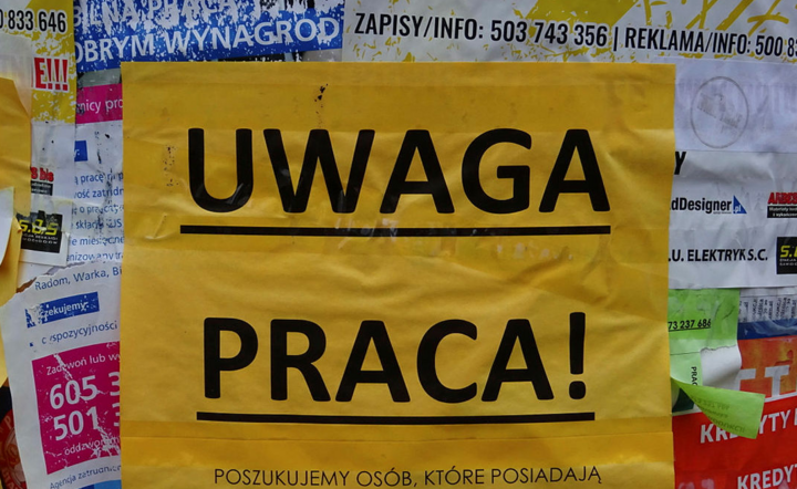 Ogłoszenie o pracę / autor: Fratria