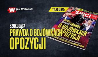 W „Sieci”: Szokująca prawda o bojówkach opozycji