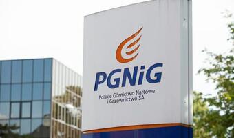PGNiG Obrót Detaliczny: o 30 proc. większa sprzedaż CNG