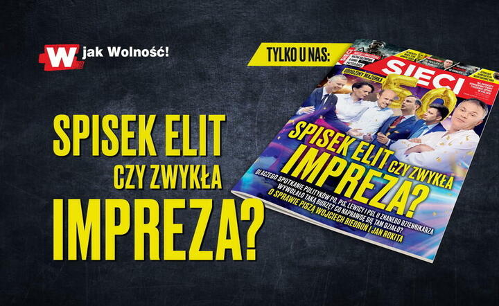 Sieci - okładka / autor: Fratria