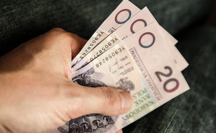 PIE: na kolejne silniejsze spadki inflacji będzie trzeba poczekać do wiosny 2025 roku / autor: Pixabay