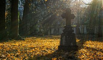 Francja. Ekologia… pogrzebowa