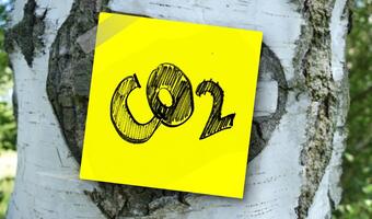 Globalna emisja CO2 z sektora energii na tym samym poziomie