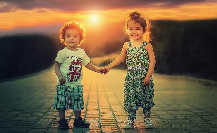 Zdjęcie ilustracyjne / autor: pixabay.com