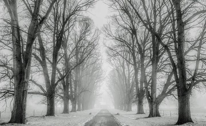fot. Pixabay / autor: fot. Pixabay
