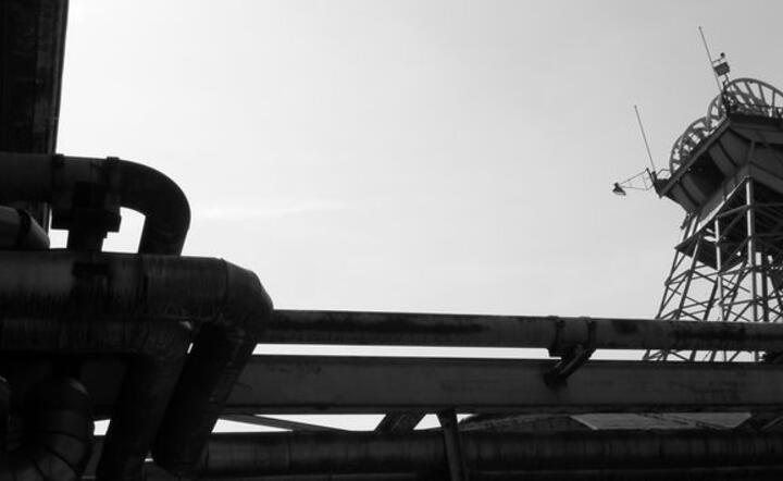 Fot. Freeimages