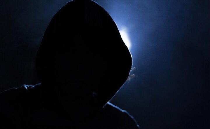 Hacker / autor: Pixabay