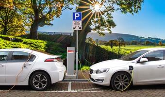 Wspieramy elektromobilność – NFOŚiGW zaprasza na e-warsztaty