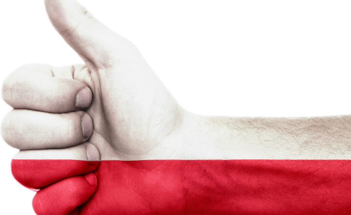Polska gospodarka wchodzi na wyższy poziom. (zdj. ilustracyjne) / autor: Pixabay