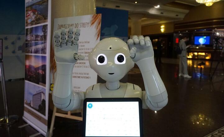 Robot / autor: fot. Fratria