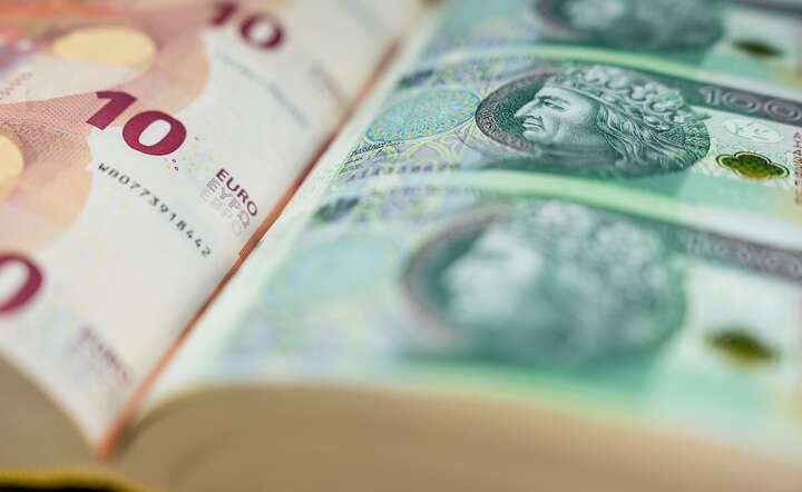 Do podwyżki stóp w strefie euro może dojść już w czerwcu lub wrześniu / autor: Fratria / AS