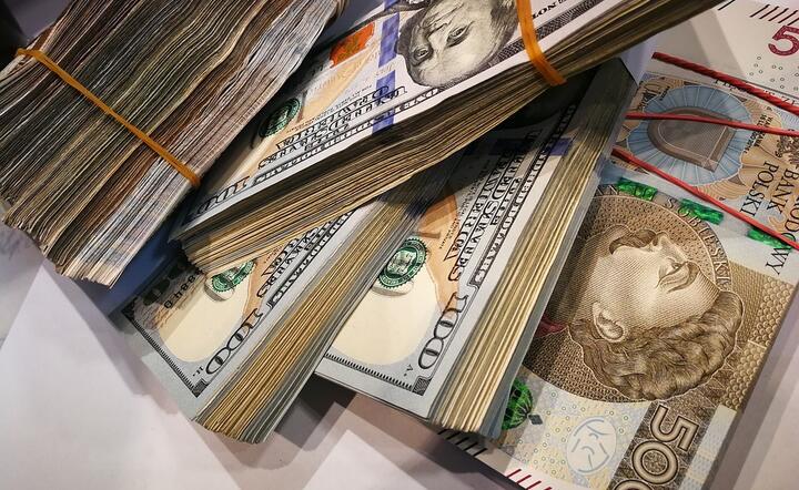 Złoty odnotował chwilową ulgę pod wpływem korekcyjnego odbicia na głównej parze walutowej / autor: Pixabay