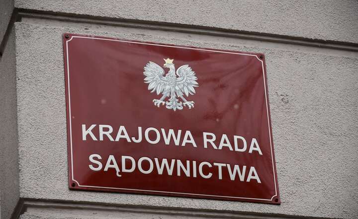 Prokurator w osłonie policji wdarł się do KRS