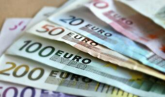 Kraje UE tracą miliardy euro na podróbkach