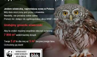 BLIK wspiera instytucję, która może mieć krew na logo