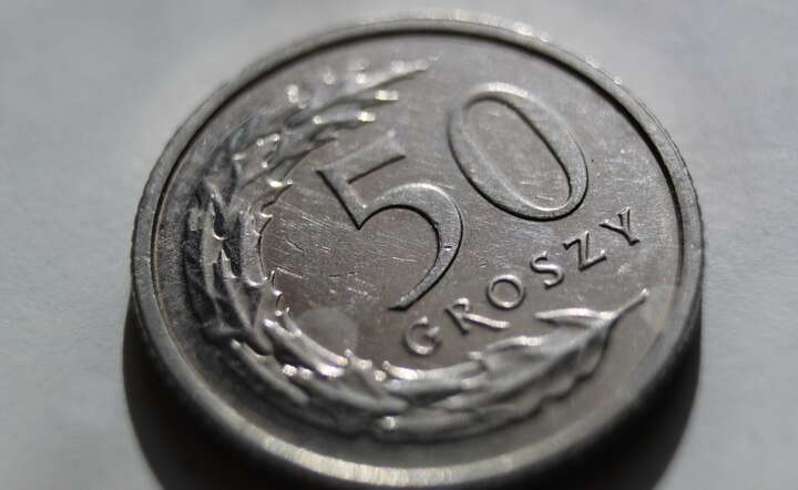 Polska złotówka / autor: Pixabay