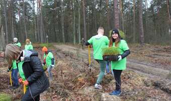Grupa PGE po raz 24. posadzi lasy pełne energii