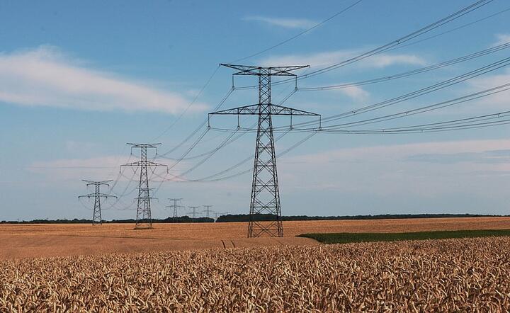 sieć energetyczna / autor: Pixabay
