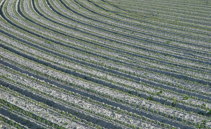 Fot. Freeimages/michel collot