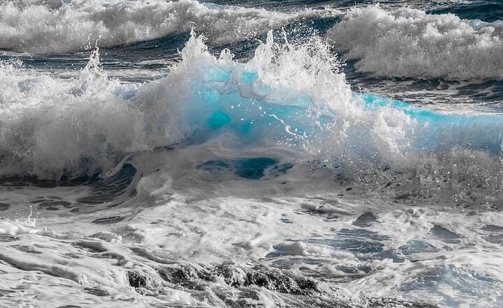 fot. Pixabay / autor: fot. Pixabay