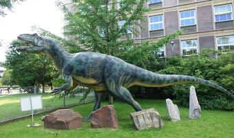 To nie asteroida? Co naprawdę zabiło dinozaury?