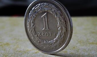 Dlaczego polskie banki z trudem zarabiają?