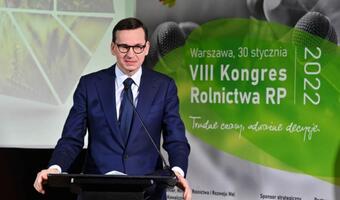 Premier: Uspokojenie huśtawki cenowej to dla nas zadanie fundamentalne