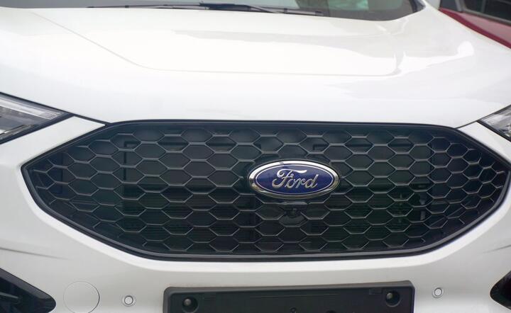 Ford / autor: fot. Fratria