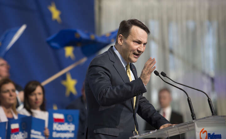 Radosław Sikorski jako polityk Platformy Obywatelskiej / autor: Fratria