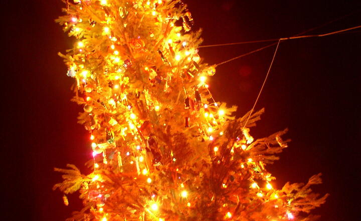 autor: www.sxc.hu