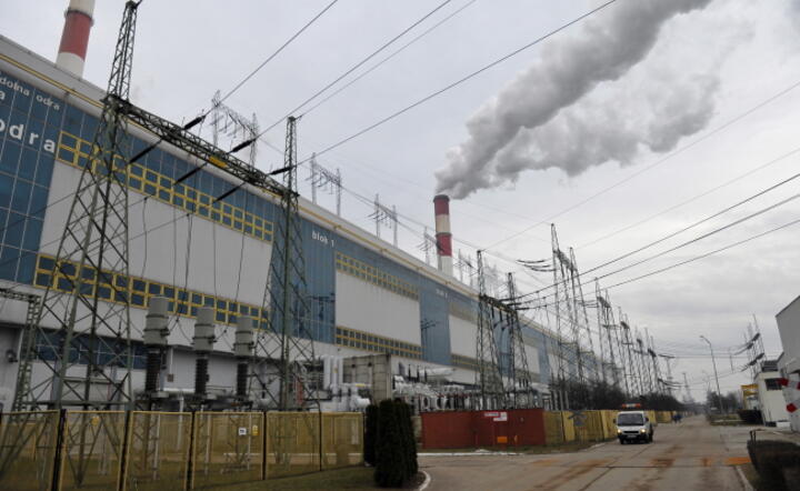 Elektrownia Dolna Odra, fot. PAP/Marcin Bielecki