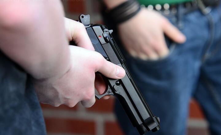 Pistolet / autor: Pixabay