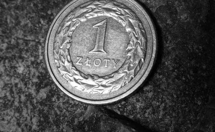 Złoty wciąż na fali – o ile nie pogrążą go ryzyka
