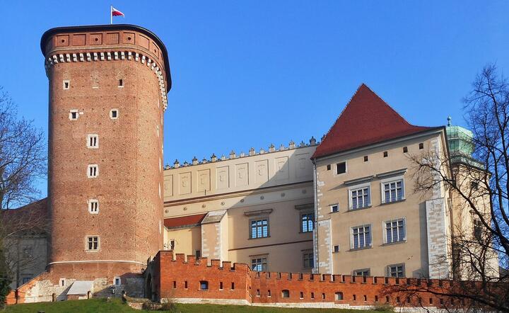 Kraków, Wawel / autor: Pixabay