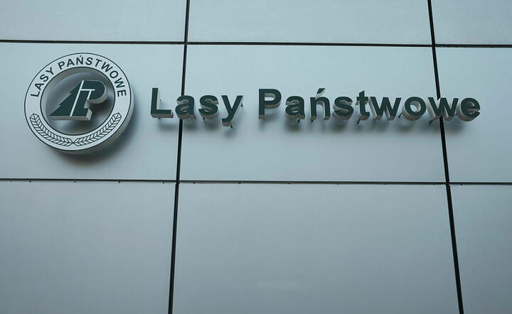 Lasy Państwowe / autor: Fratria