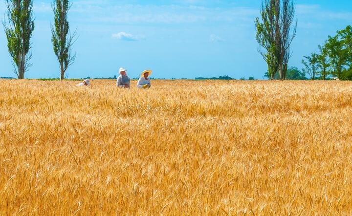 Ukraina / autor: Pixabay