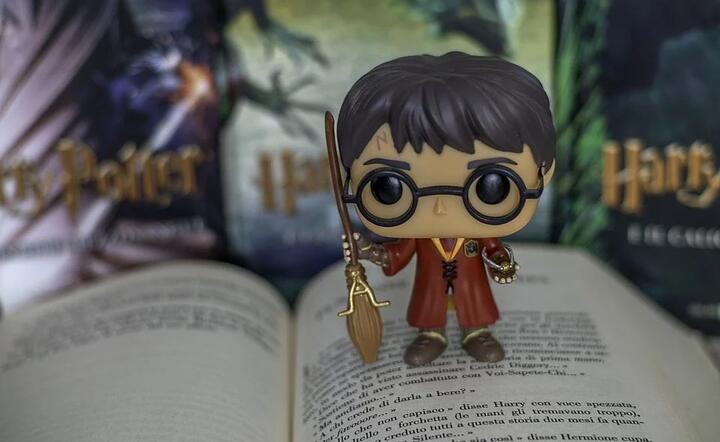 Harry Potter / autor: fot. Pixabay