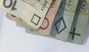 Euro, dolar, ropa, a w tym wszystkim złoty