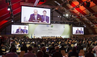 Węgiel ma kolosalną przyszłość – przekonują polscy naukowcy. Ale na konferencji w Paryżu nie tego chcą słuchać...