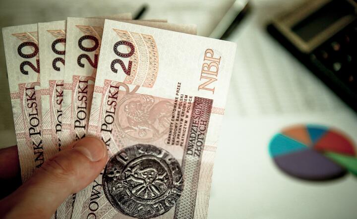 Zdaniem Ministerstwa Finansów estoński CIT w 2021 r. może zmniejszyć wpływy z podatków o 5 mld zł / autor: Pixabay