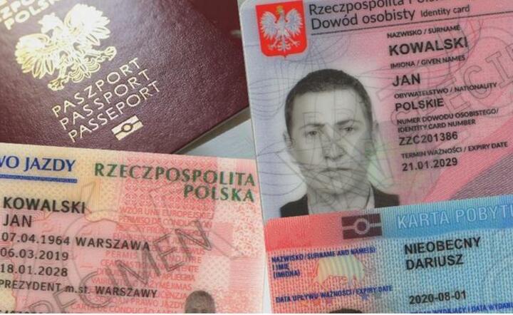 MSWiA : Rejestr Dokumentów Publicznych / autor: gov.pl